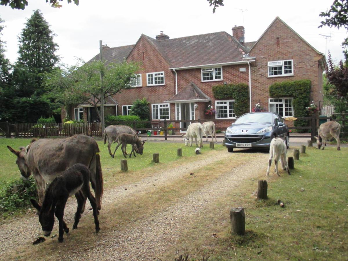Вилла Hops Main House, Brockenhurst, New Forest Экстерьер фото